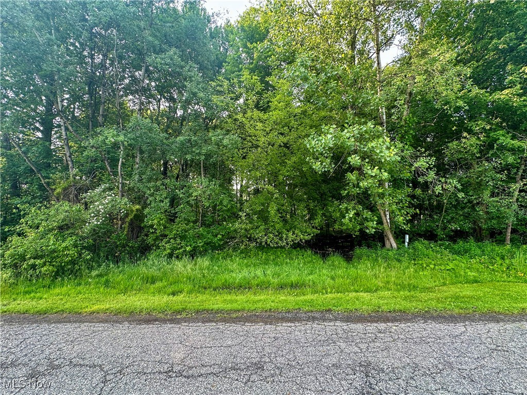 Powder Mill Run Property Photo 1