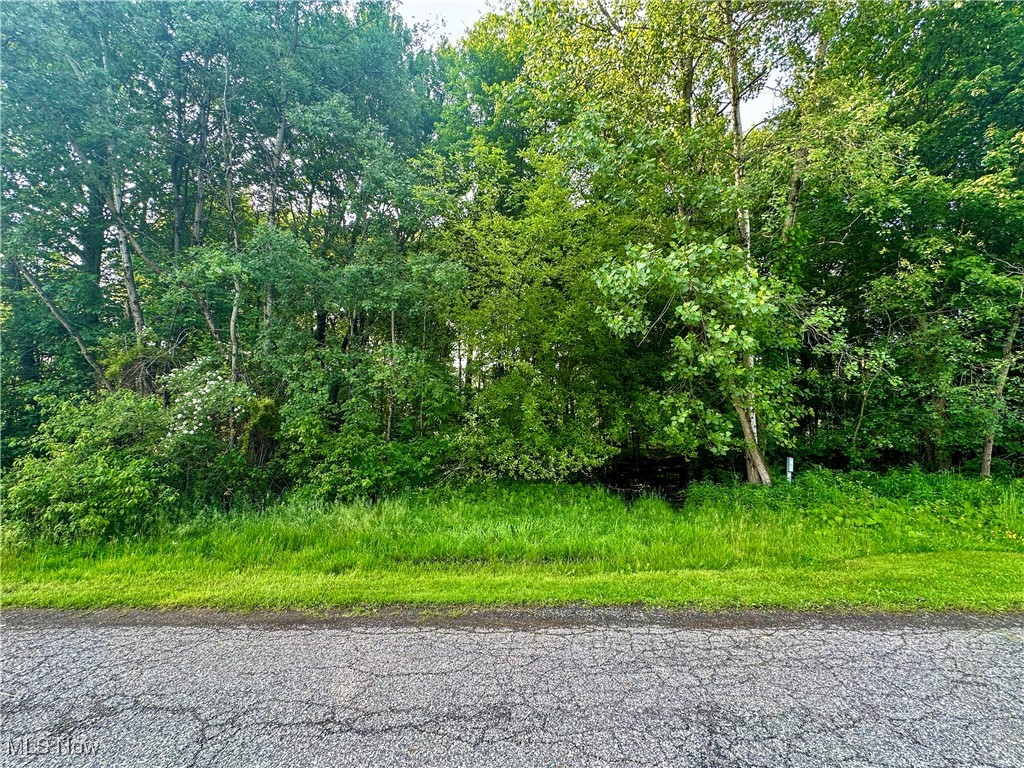 Powder Mill Run Property Photo 1