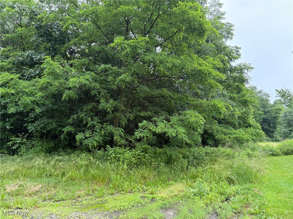 2077 Coleman Avenue Property Photo 1