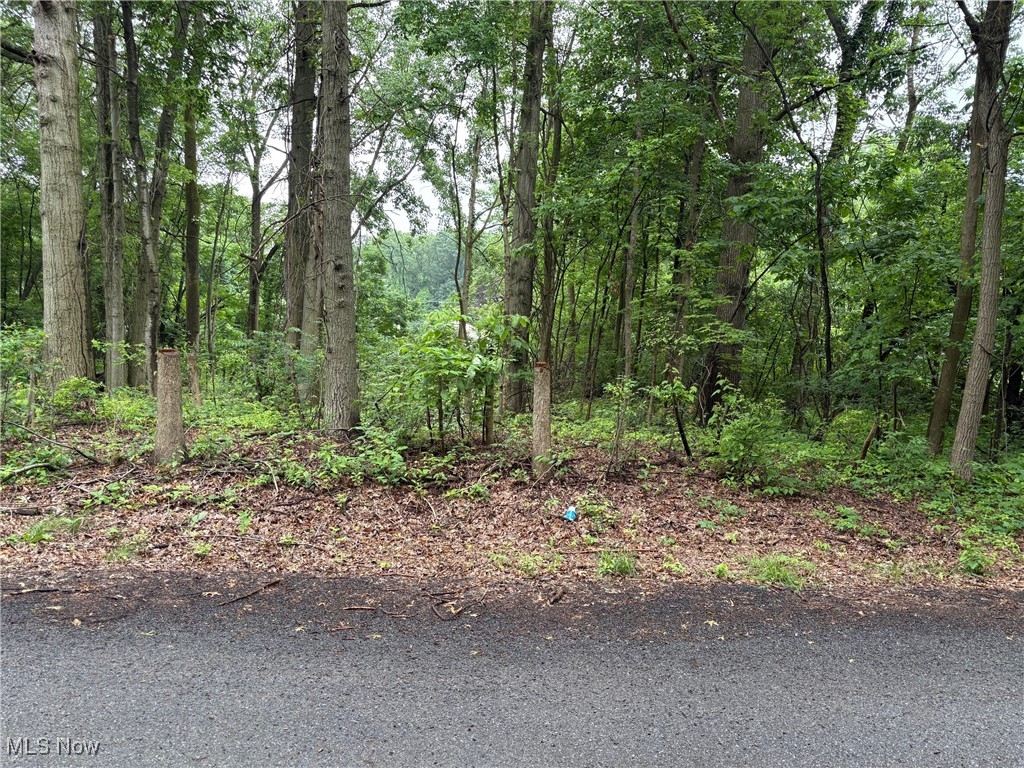 2077 Coleman Avenue Property Photo 2