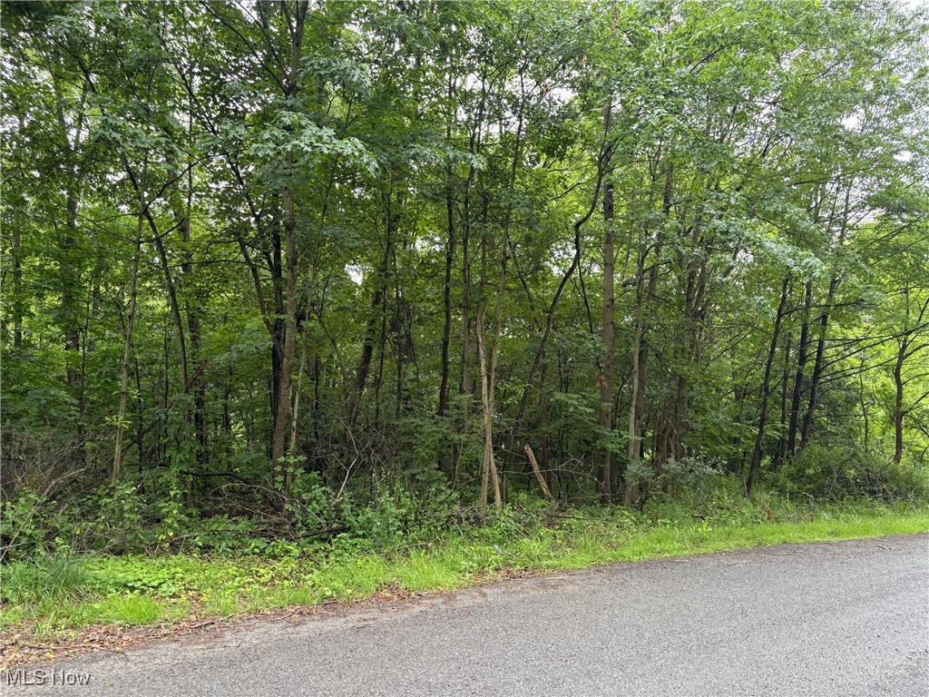 2077 Coleman Avenue Property Photo 3