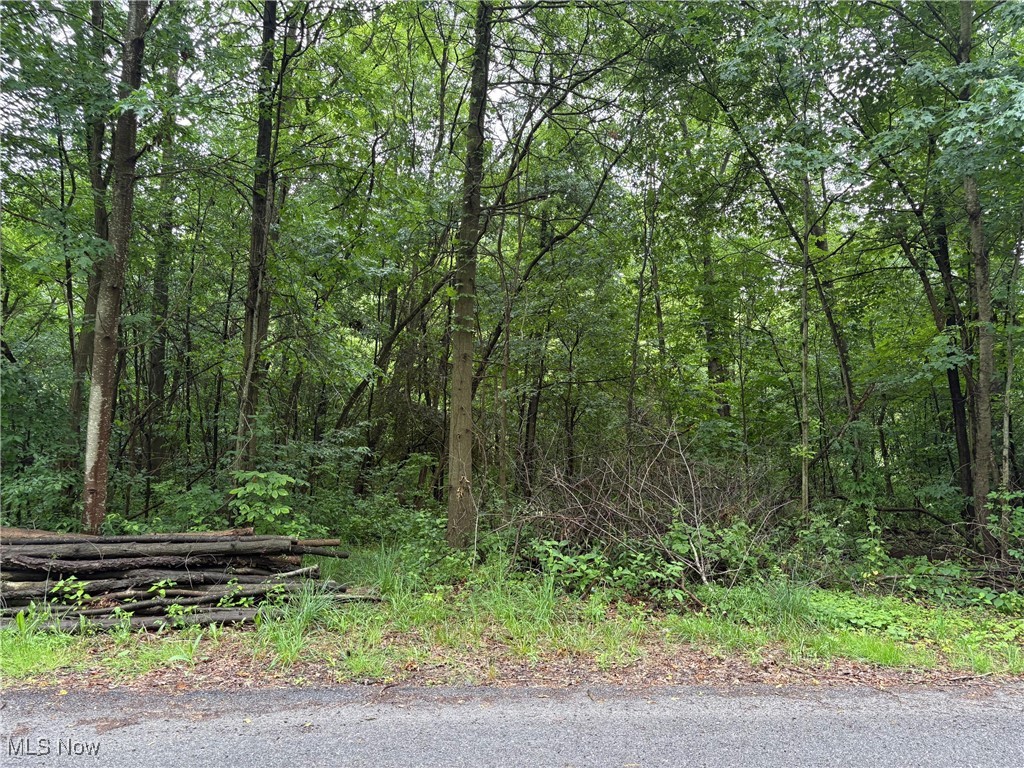 2077 Coleman Avenue Property Photo 4