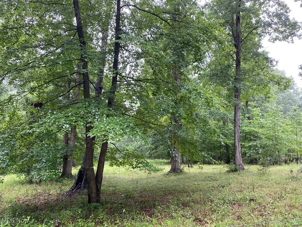 Dicks Run Road Property Photo 1