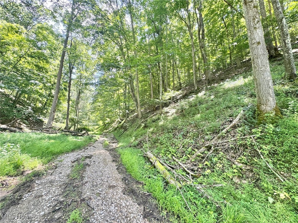 1588 Crummies Creek Road