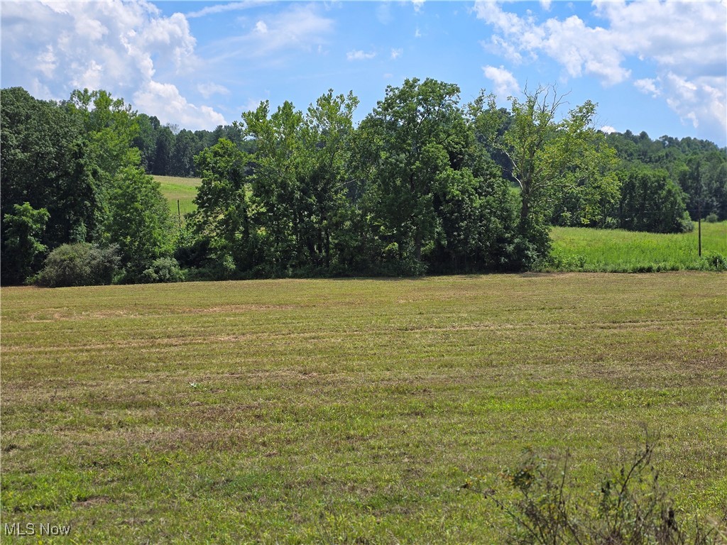 7.38 Acres Rosseau Co. Rd. 13 Road Property Photo 1