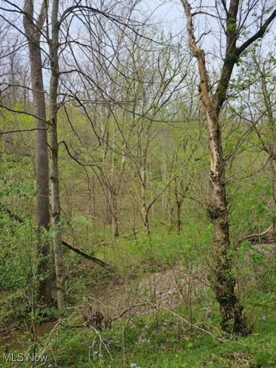 1247 Rocky Branch Road