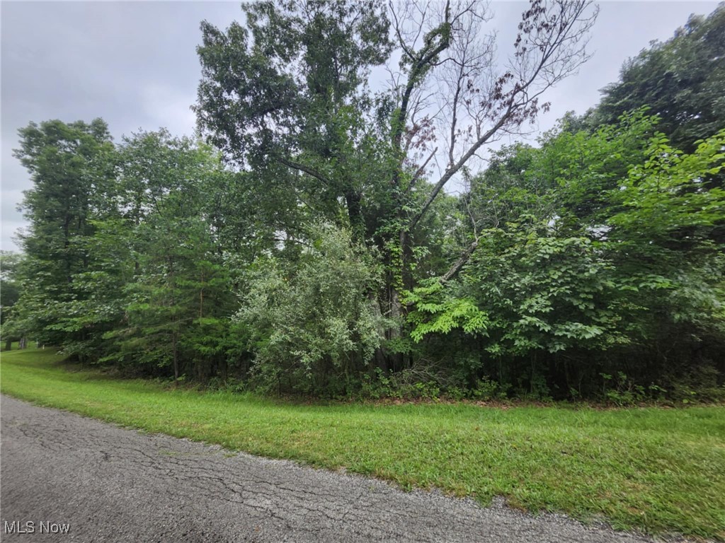 Honeysuckle Lane