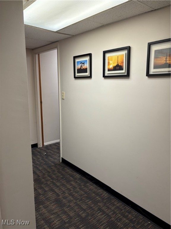 2017 Sunset Boulevard Property Photo 5