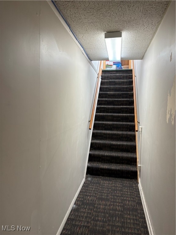 2017 Sunset Boulevard Property Photo 33
