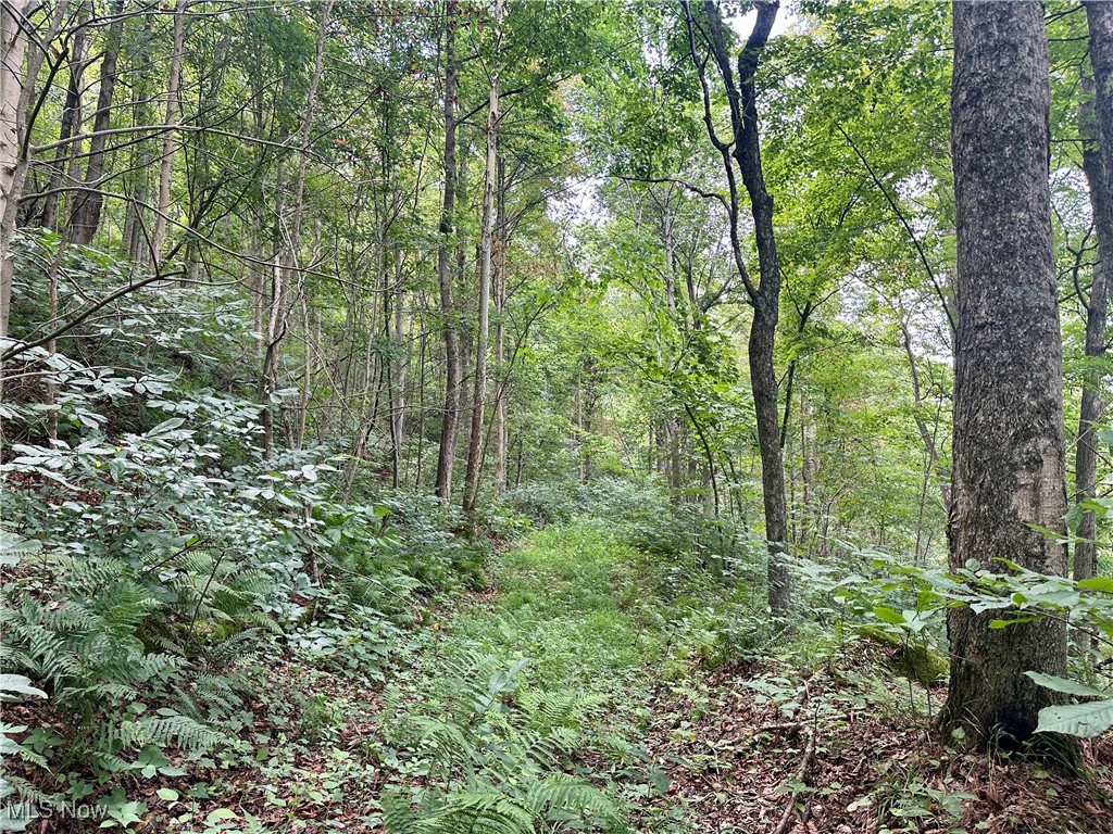 325 N Fork Road Property Photo 11