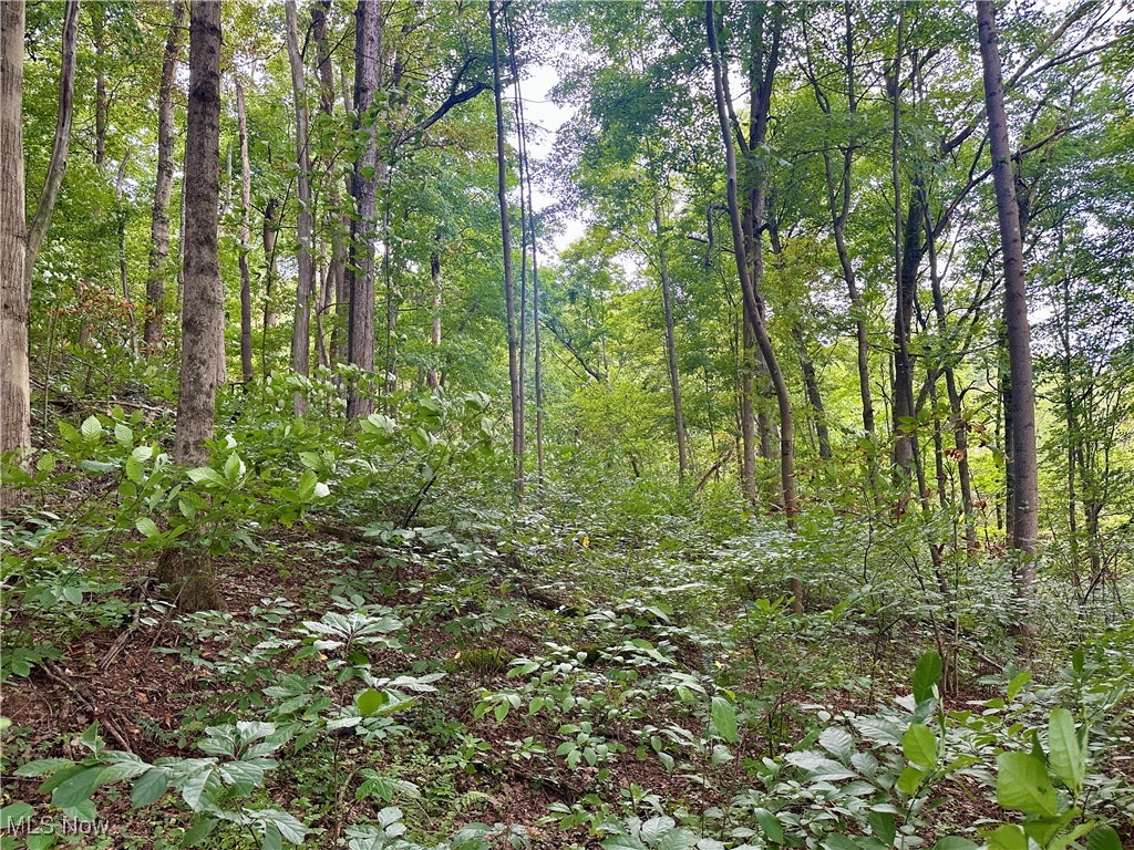 325 N Fork Road Property Photo 15