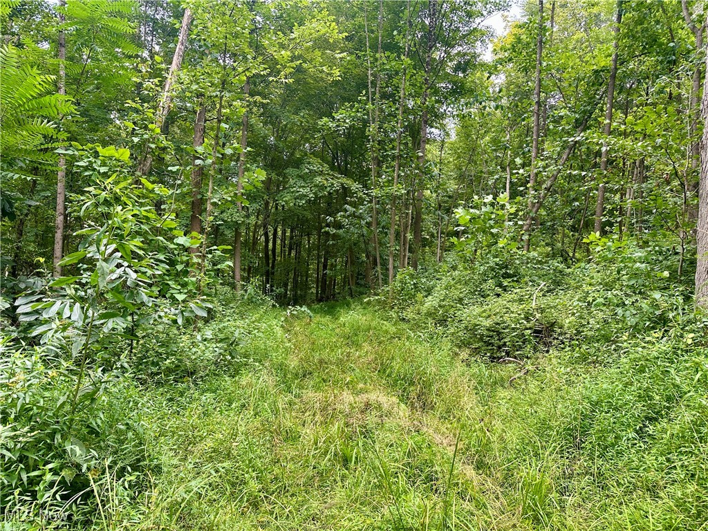 325 N Fork Road Property Photo 16