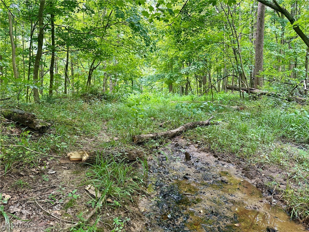 325 N Fork Road Property Photo 17