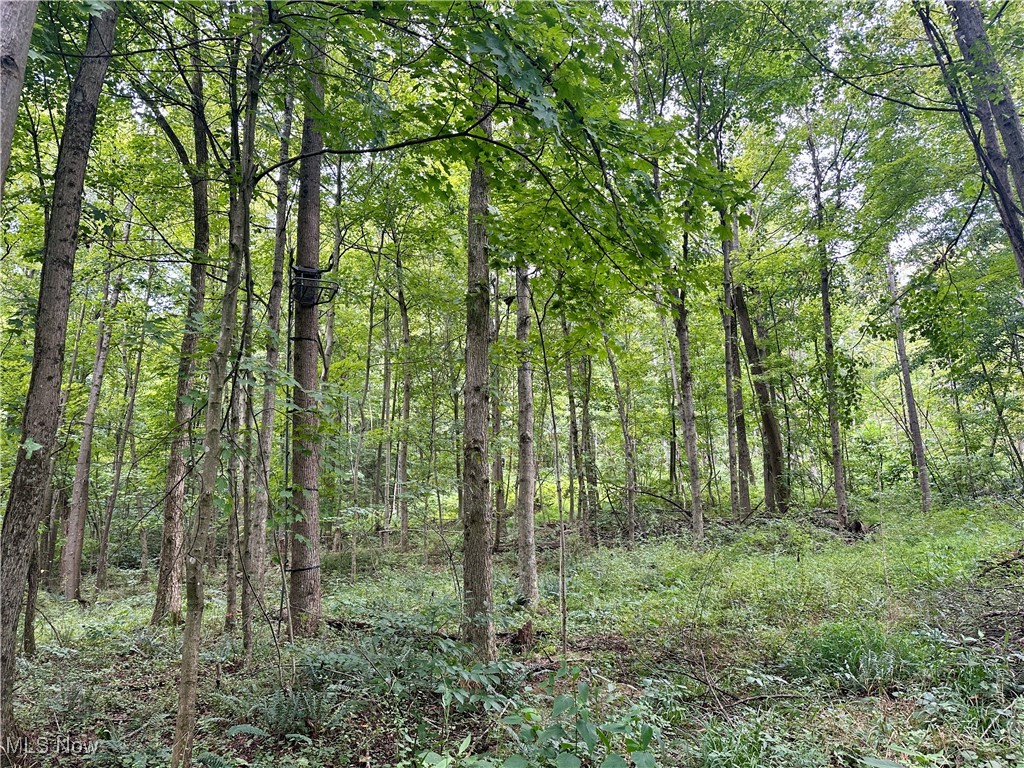 325 N Fork Road Property Photo 18
