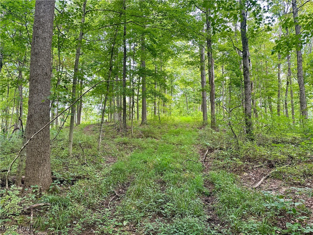 325 N Fork Road Property Photo 19