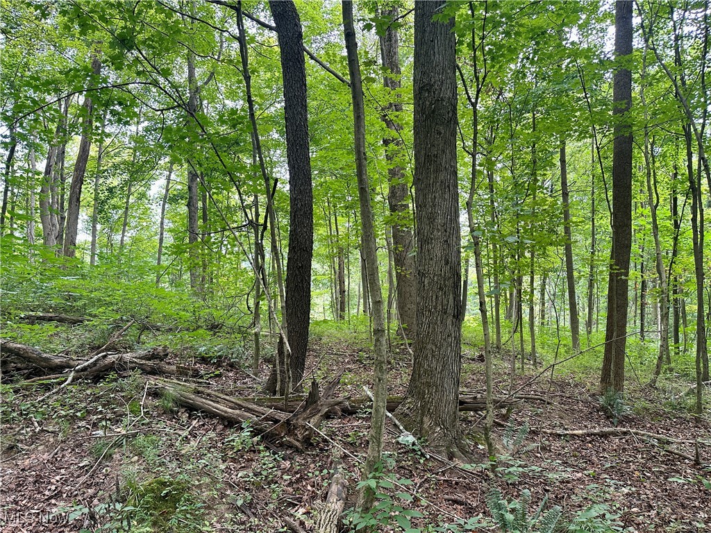 325 N Fork Road Property Photo 20