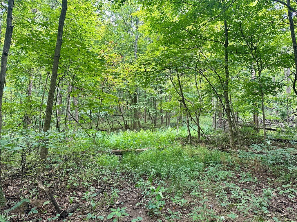 325 N Fork Road Property Photo 21