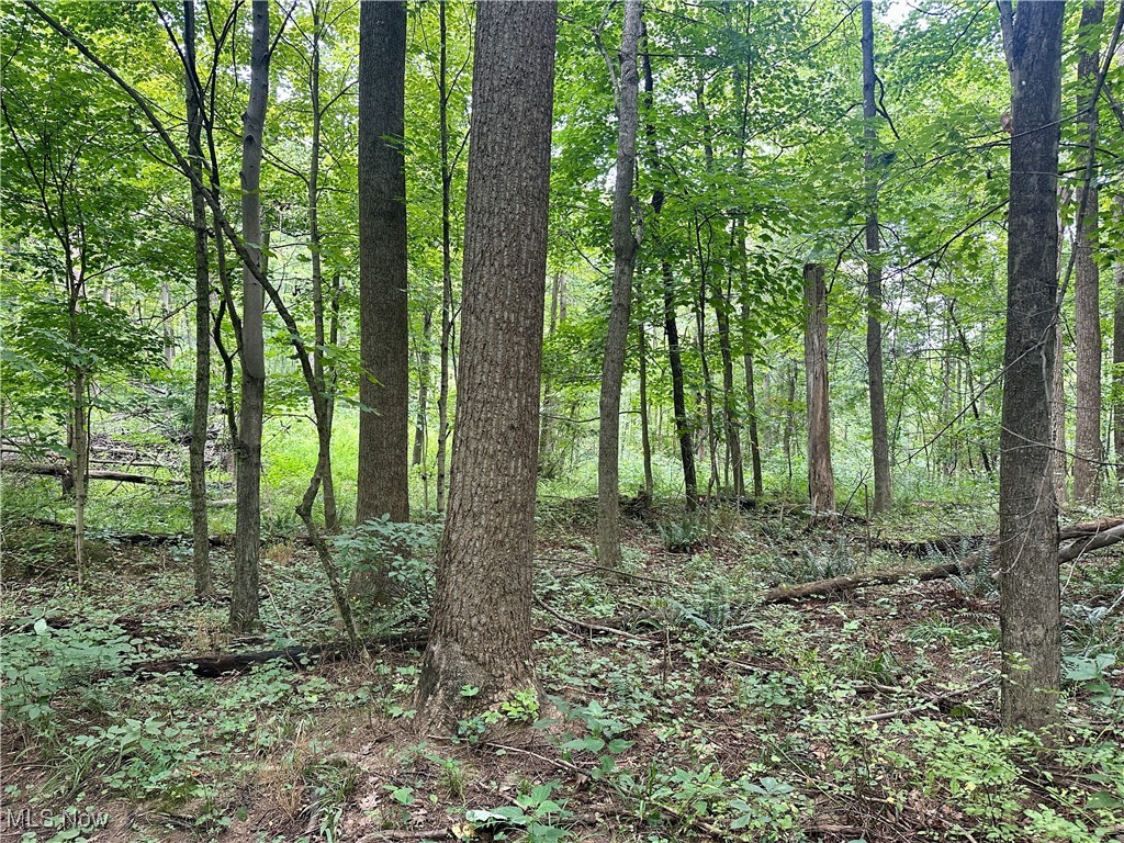 325 N Fork Road Property Photo 22