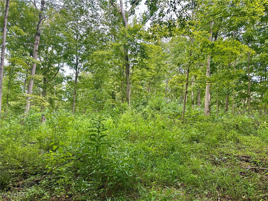 325 N Fork Road Property Photo 23