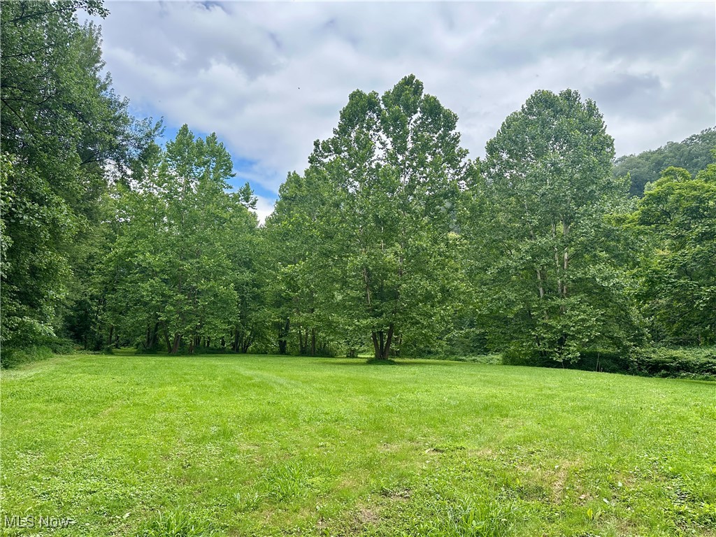 325 N Fork Road Property Photo 29