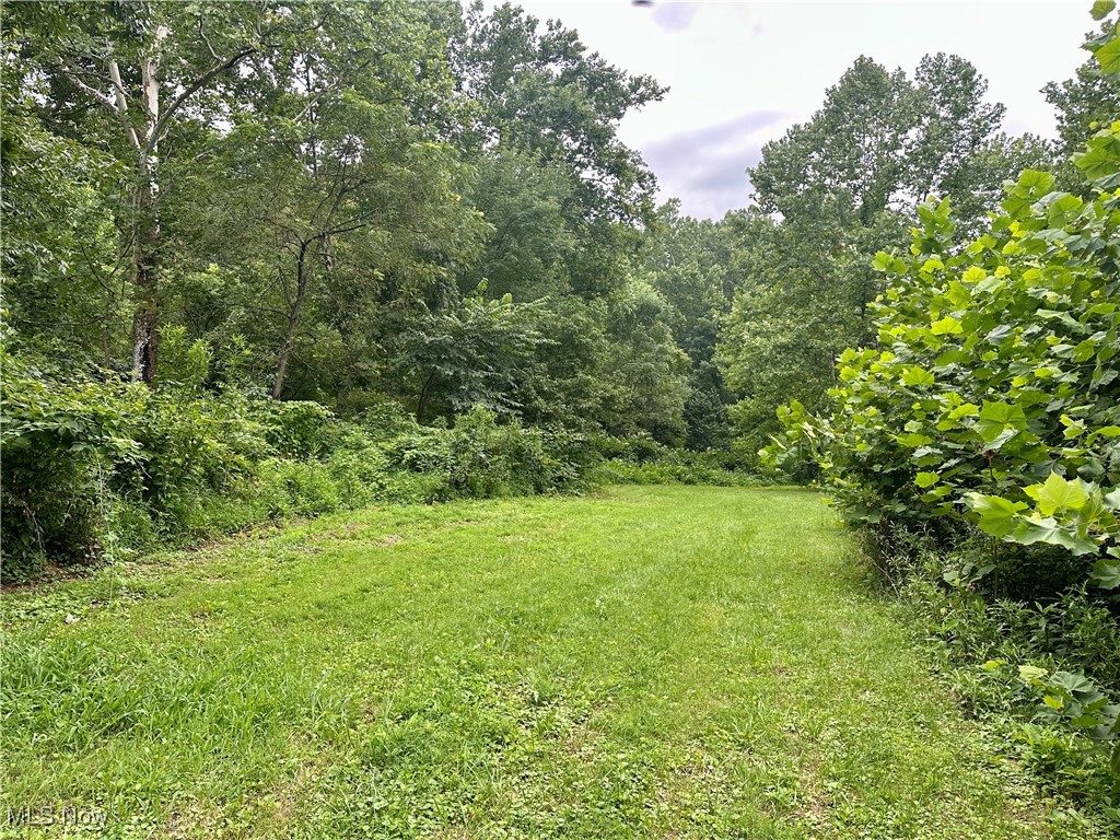 325 N Fork Road Property Photo 30