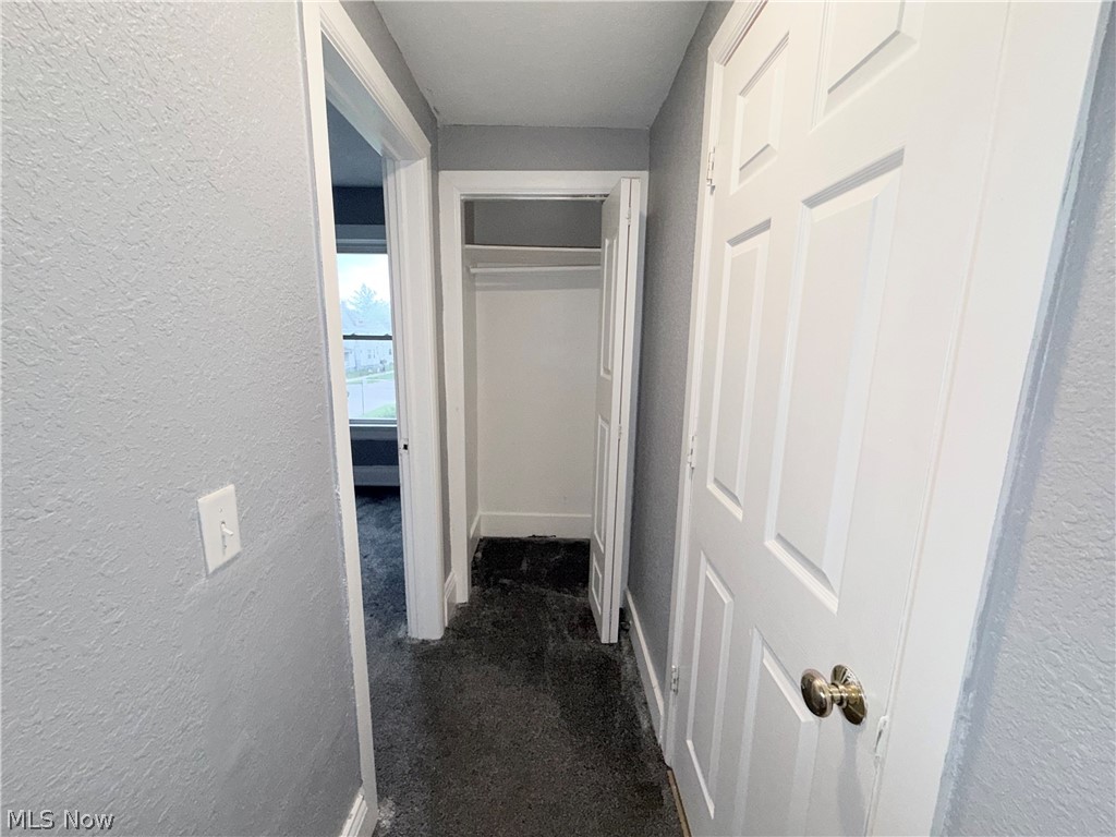 318 Courtland Avenue Property Photo 42