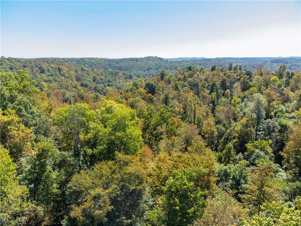 34683 Sunshine Road Property Photo 16