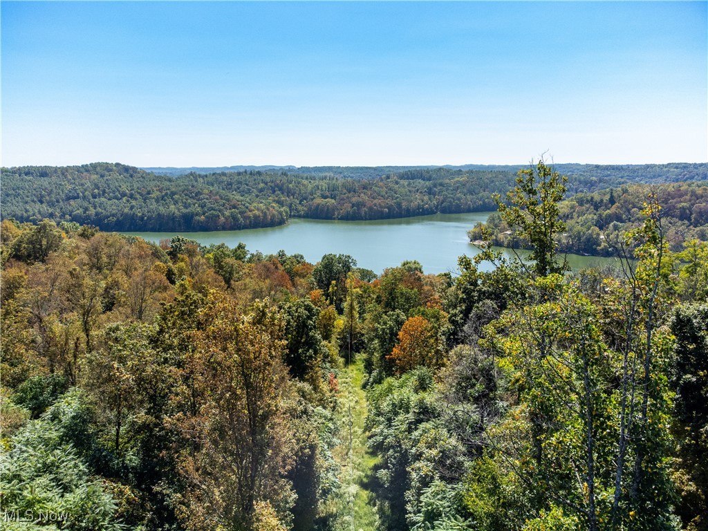 34683 Sunshine Road Property Photo 20