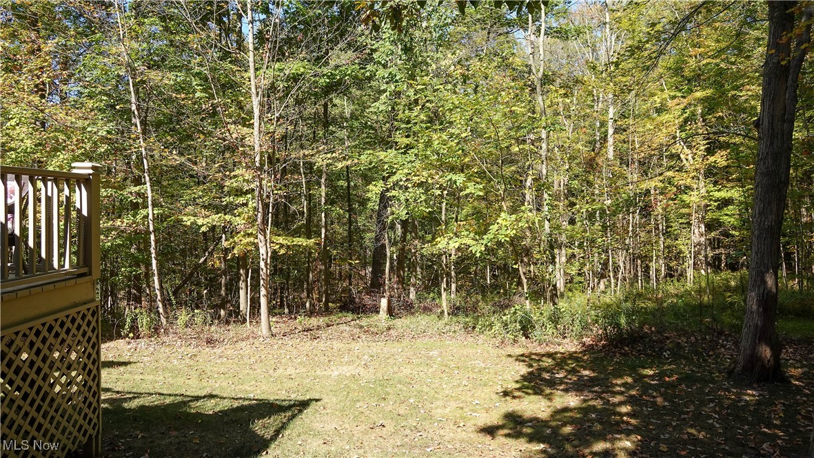 159 Royal Oak Drive Property Photo 37