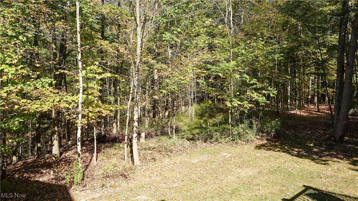 159 Royal Oak Drive Property Photo 38