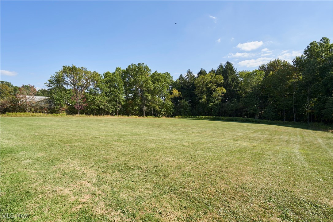 1920 Georgetown Road Property Photo 29