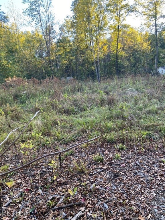 Maplewood Avenue Property Photo 9