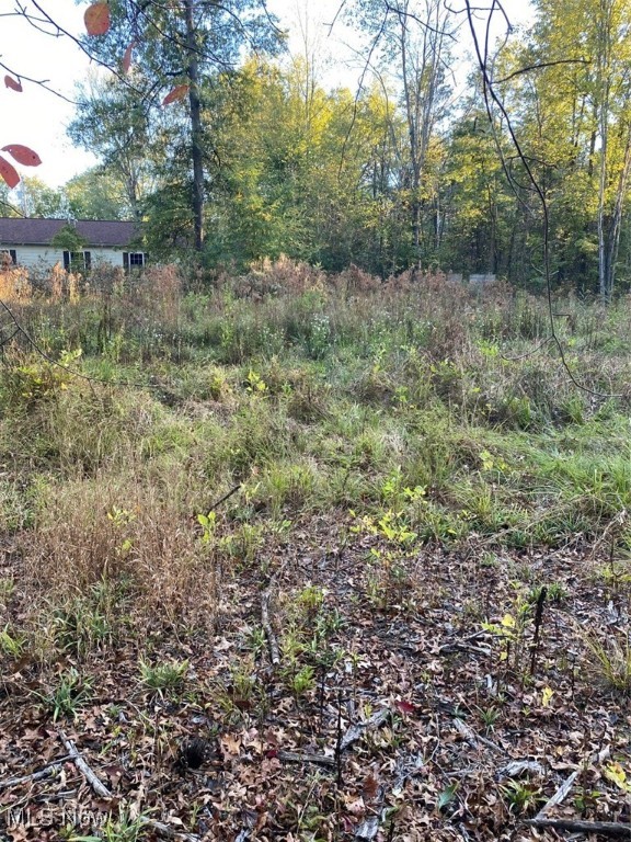 Maplewood Avenue Property Photo 10