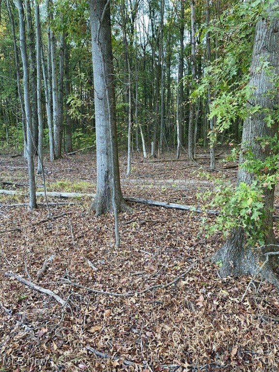 Maplewood Avenue Property Photo 11