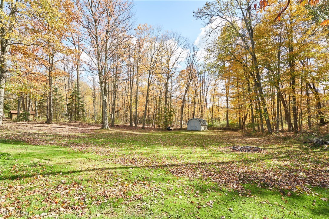 8585 Carmichael Drive Property Photo 38