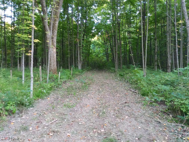 8123 Vandemark Road Property Photo 3