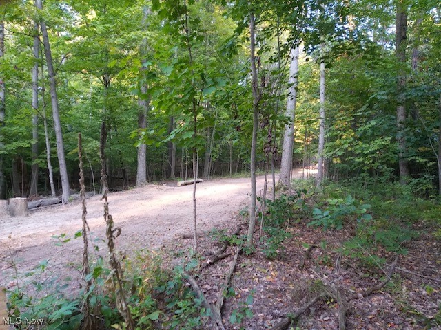 8123 Vandemark Road Property Photo 4