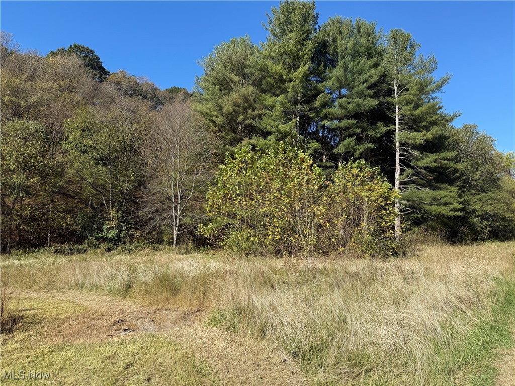 4085 Cannelville Road Property Photo 11