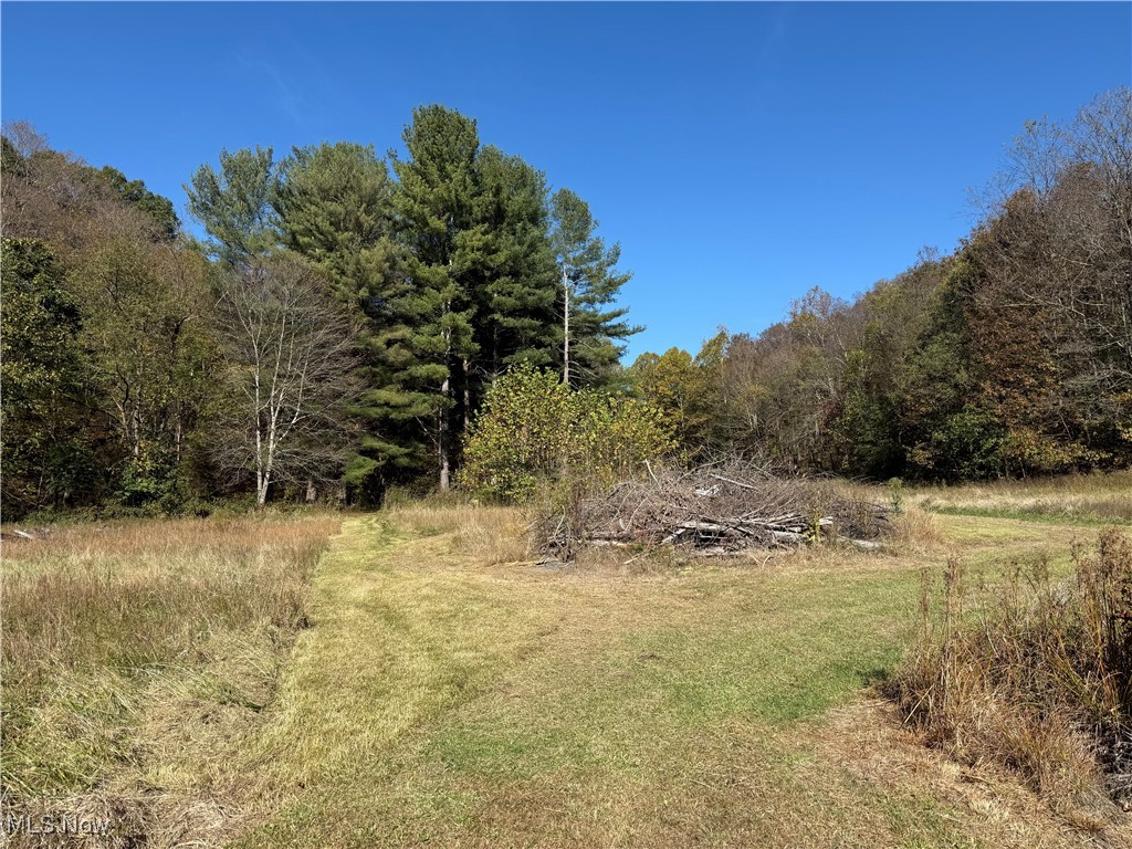 4085 Cannelville Road Property Photo 12