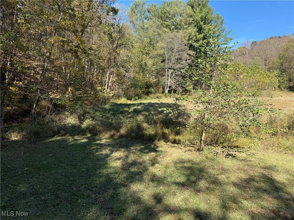 4085 Cannelville Road Property Photo 15