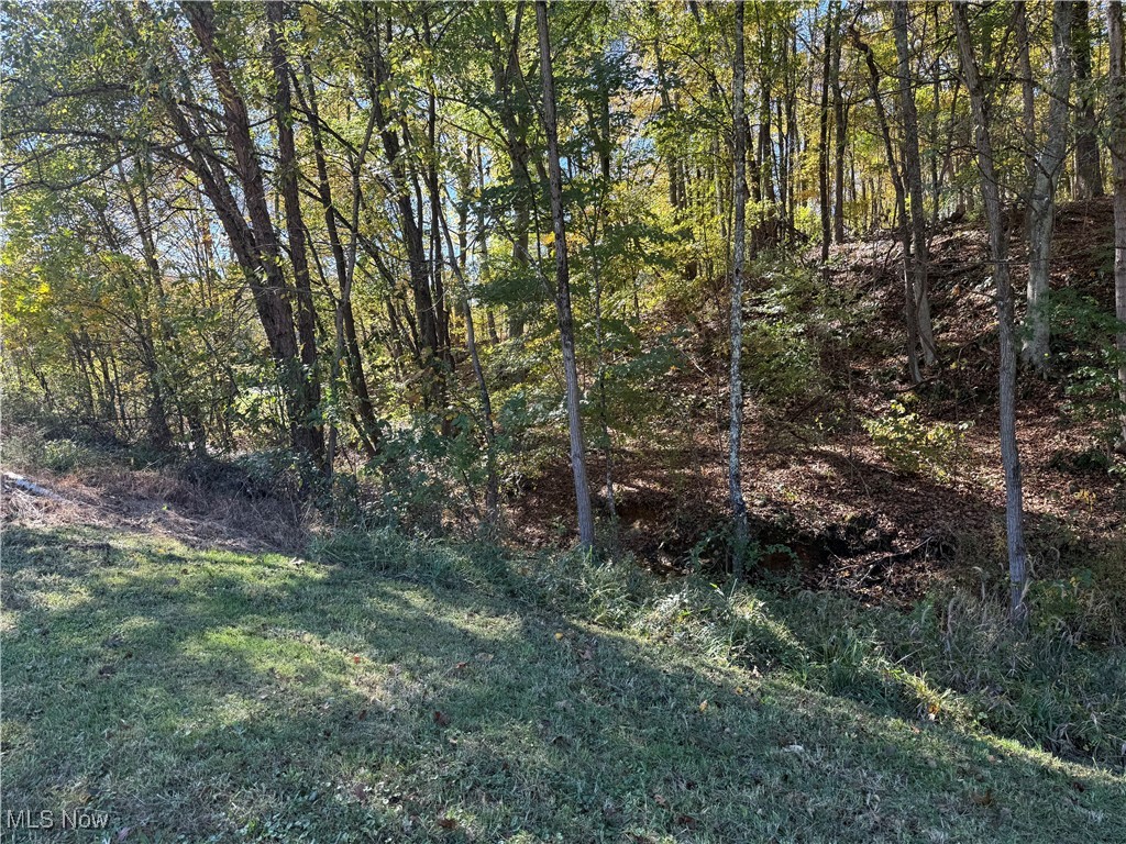 4085 Cannelville Road Property Photo 16