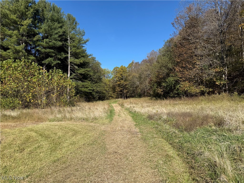 4085 Cannelville Road Property Photo 37