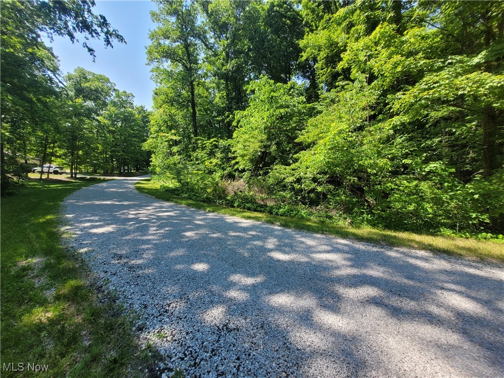 6066 Chervil Drive Property Photo 2