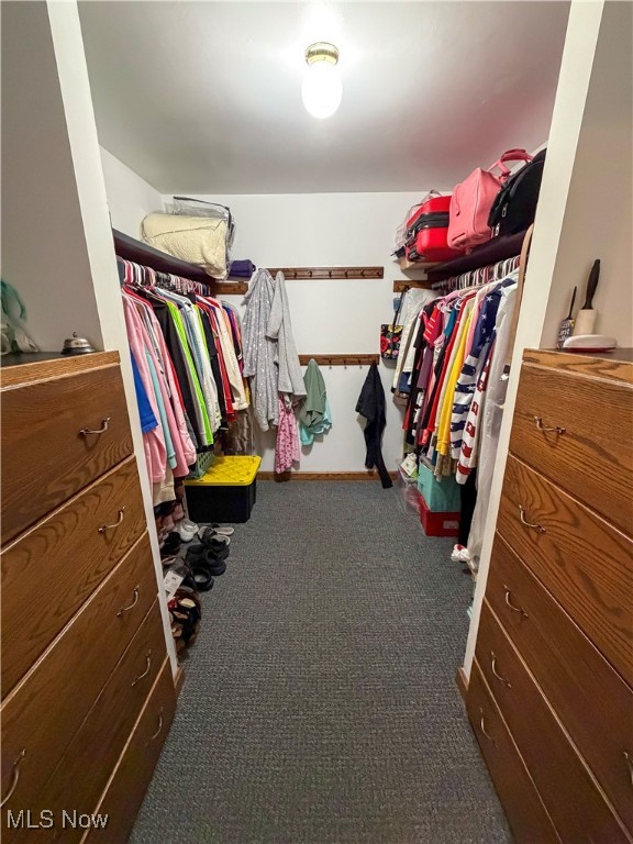 425 Southward Drive Property Photo 19