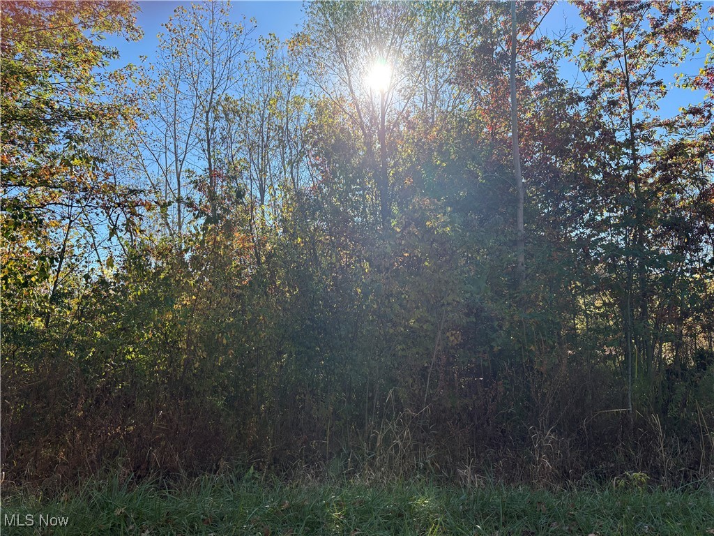 Pearl Avenue Property Photo 1