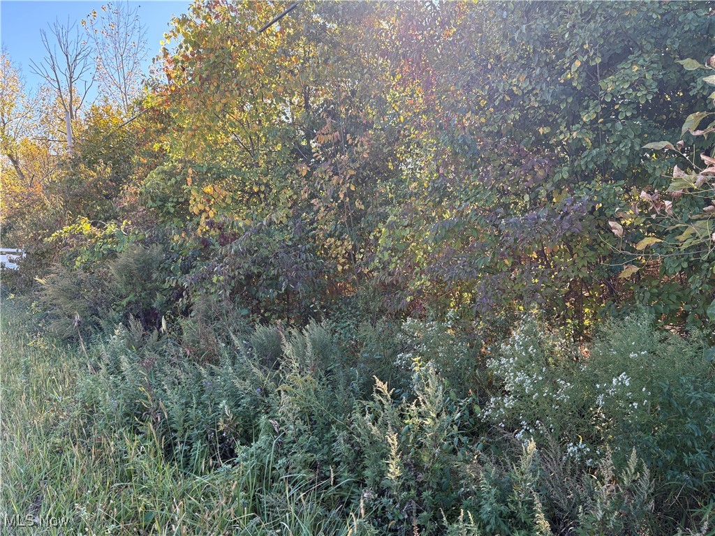 Pearl Avenue Property Photo 2