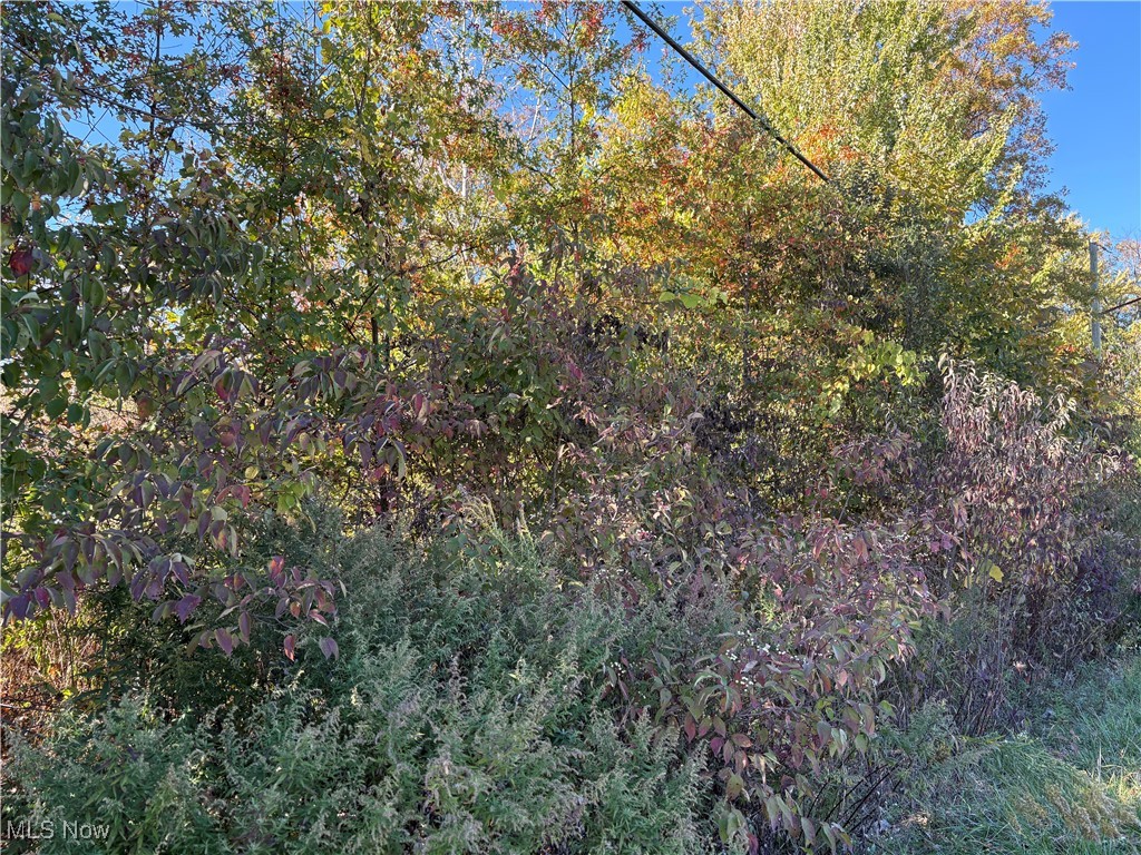 Pearl Avenue Property Photo 3