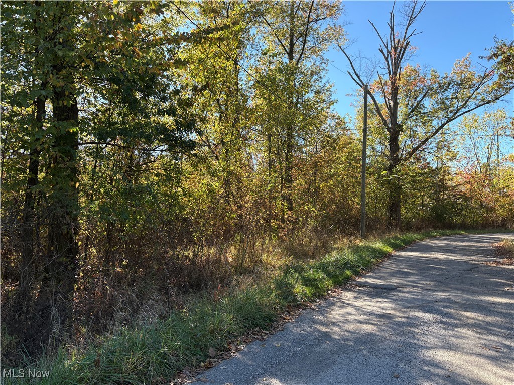 Pearl Avenue Property Photo 4