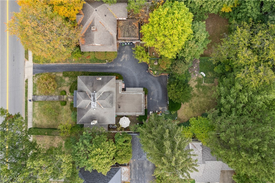 1117 Quinby Avenue Property Photo 39