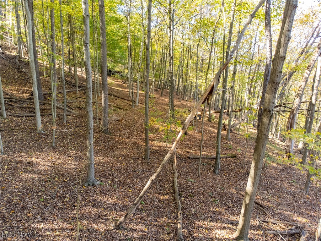 Woodview Drive Property Photo 15